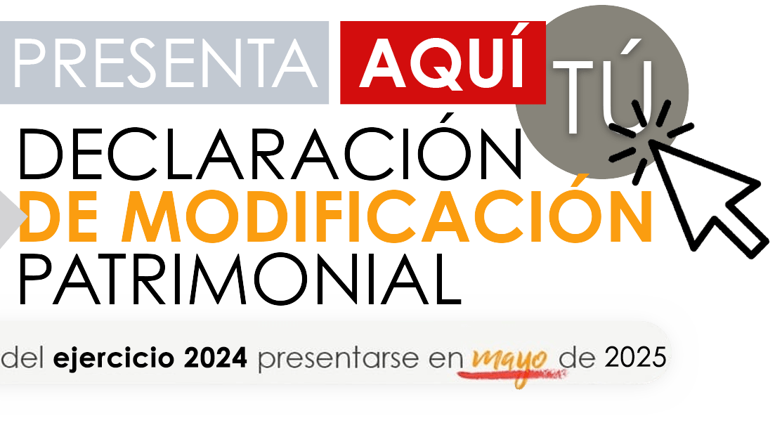 Logo Declaración Patrimonial